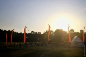 Blue monkey Ticketfoto