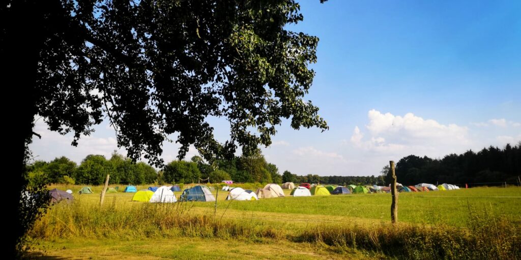 blue-monkey-birthday-fest-2020-camping